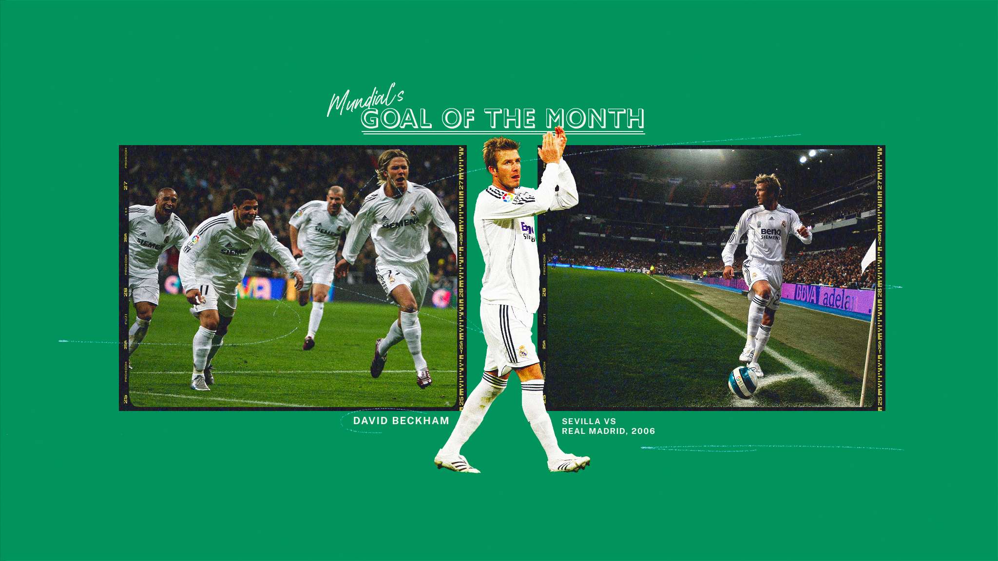 一个展示自 一个展示自