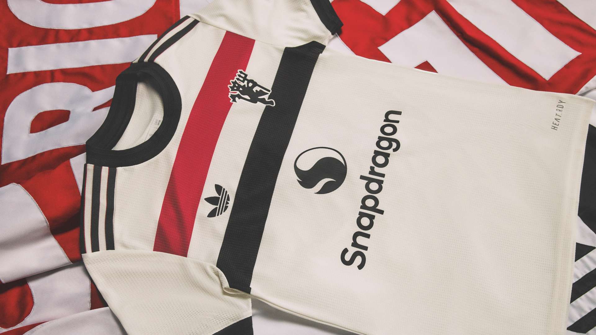 不仅展示了 不仅展示了